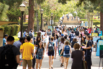 Ucla Academic Programs Majors