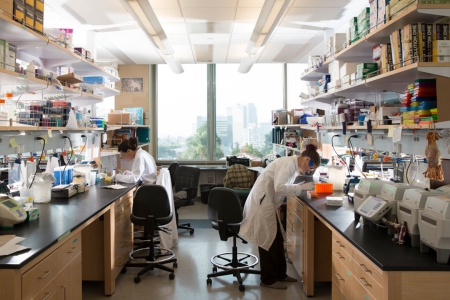 research (1) students researching in the lab