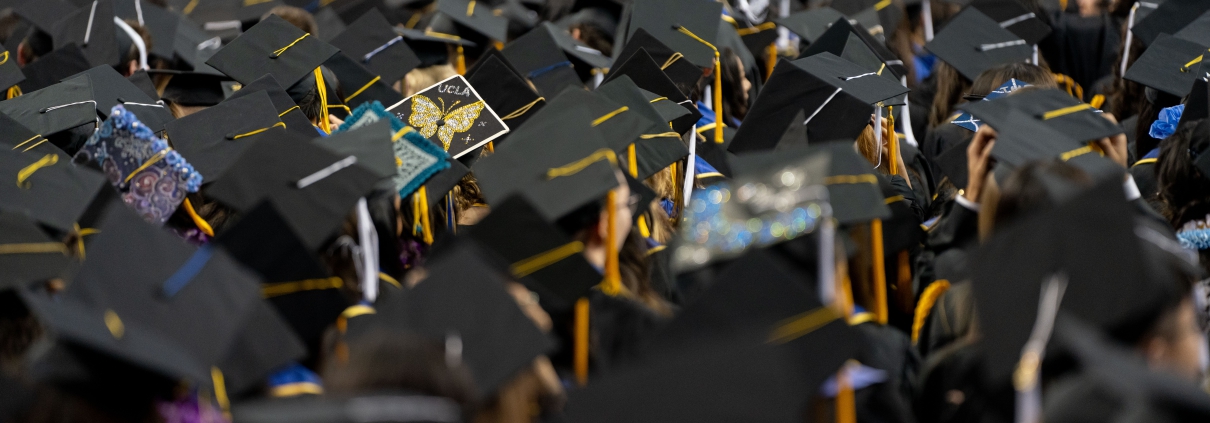 A sea of mortarboards.